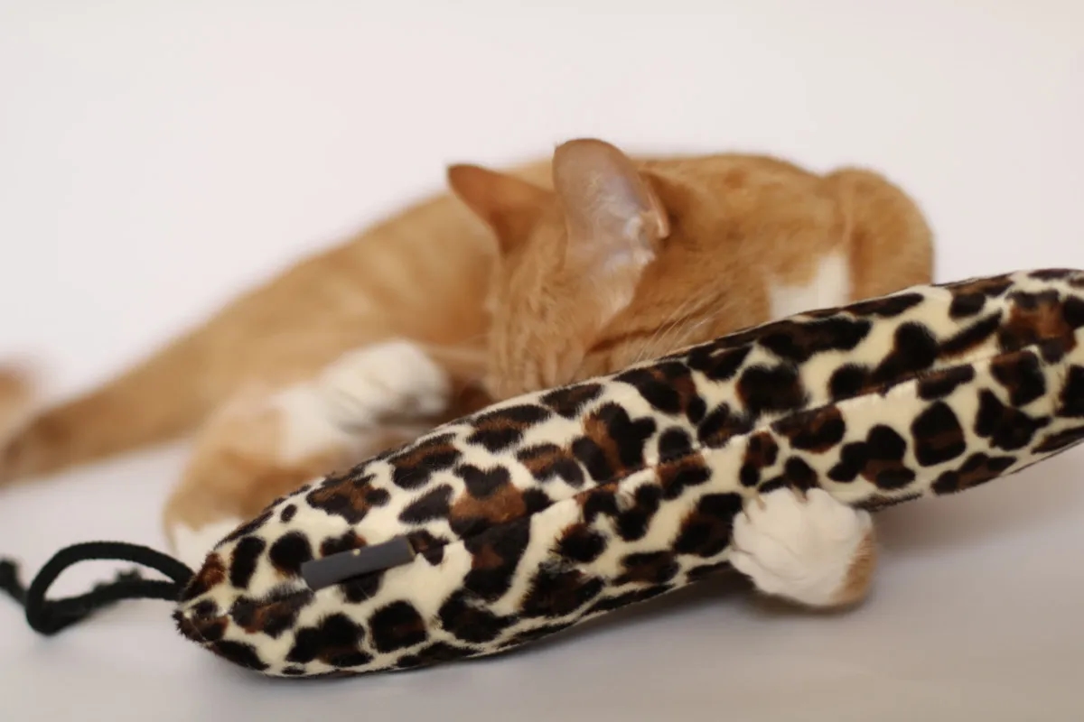 Zabawki z kocimiętką, które pobudzą Twojego kota do zabawy