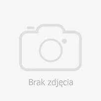 Taniec dziewięciu mężczyzn - zasady, strategie i historia gry planszowej