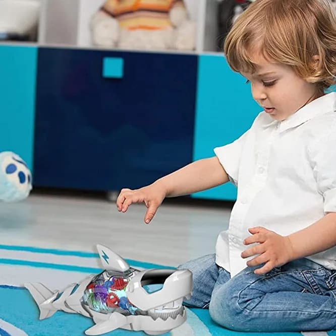 Ruchoma zabawka dla kota: jak zaspokoić instynkt łowcy?